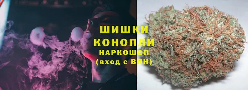 Конопля OG Kush  Нижняя Салда 